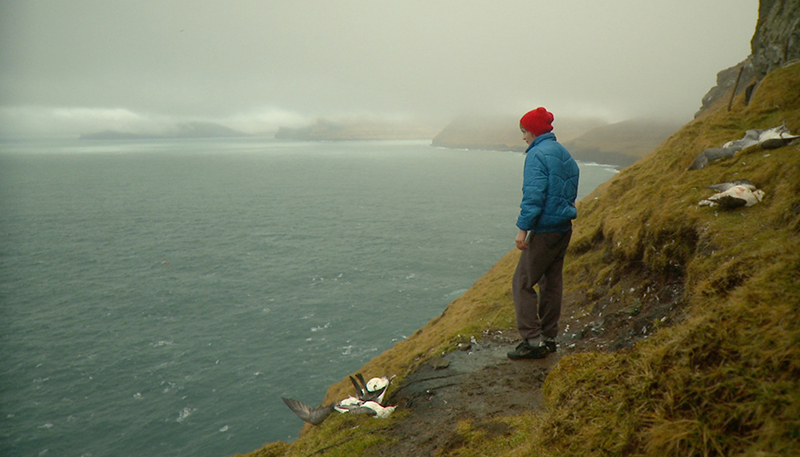 From Mike Day’s 'The Islands and the Whales.' Day won the Emerging International Filmmaker Award.