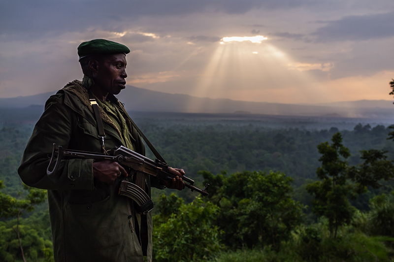 From Orlando von Einsiedel’s 'Virunga'. Photo © Orlando von Einsiedel.