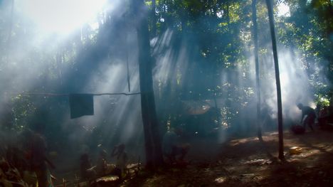 Sunlight streaming into the forest with people sitting on the ground