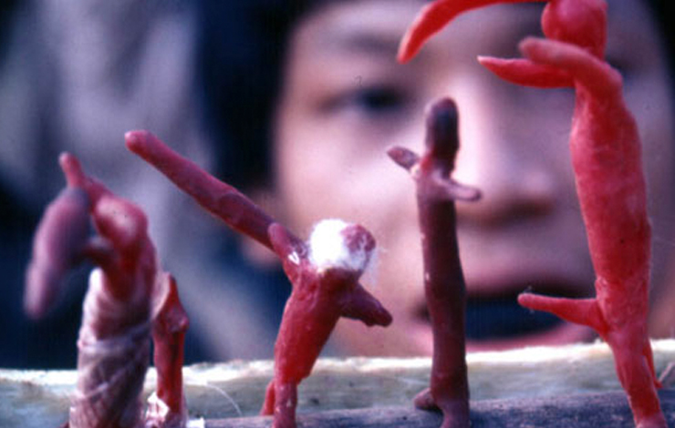 Yanomami villagers depicted French anthropologist Jacques Lizot as a wax figure with a large protruding penis. Filmmaker José Padilha turned over the testimony of sexual abuse in <em>Secrets of the Tribe to Interpol</em>