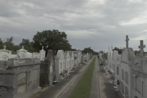 rows of graves in a cemetery 