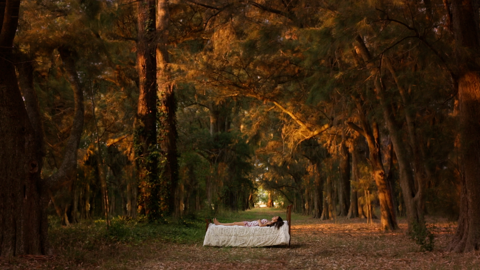 A woman lays on a bed that stands alone in the middle of a dusk-lit forest