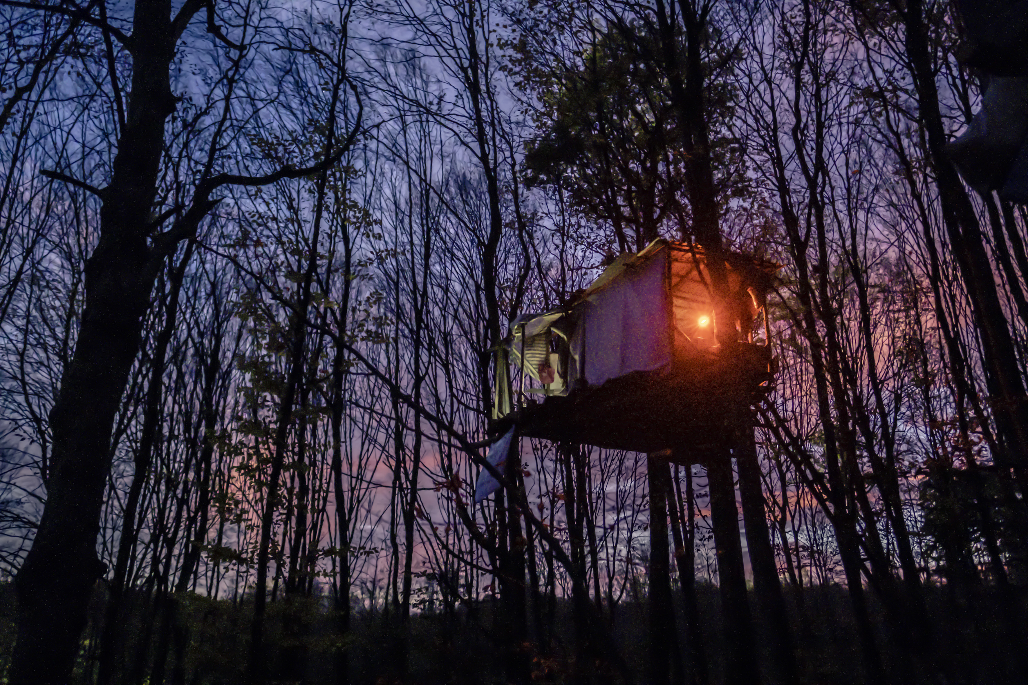 A treehouse surrounded by thin trees at sunset, from David Klammer's “Barricade”. Photo courtesy of DOK Leipzig. 