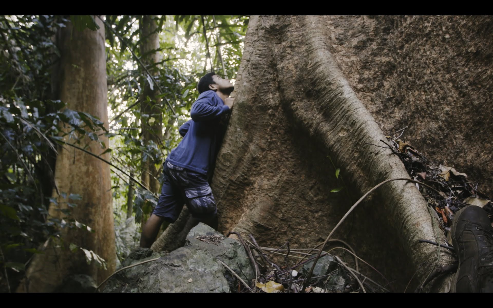 Para-enforcer Roy Arguelles inspects a giant tree in Palawan's rainforests. From Karl Malakunas' 'Delikado.' Photo: Delikado LLC