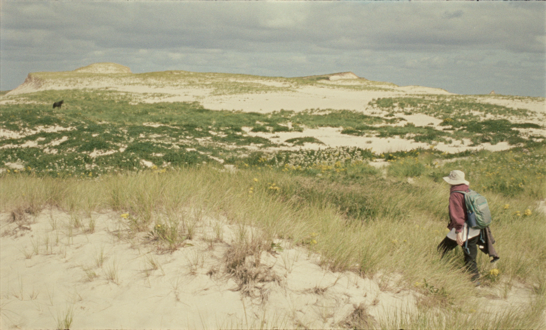 A white woman, wearing a floppy hat and a backpack, walks across a grassy terrain. From Jacquelyn Mills' 'Geographies of Solitude.' Courtesy of Camden International Film Festival