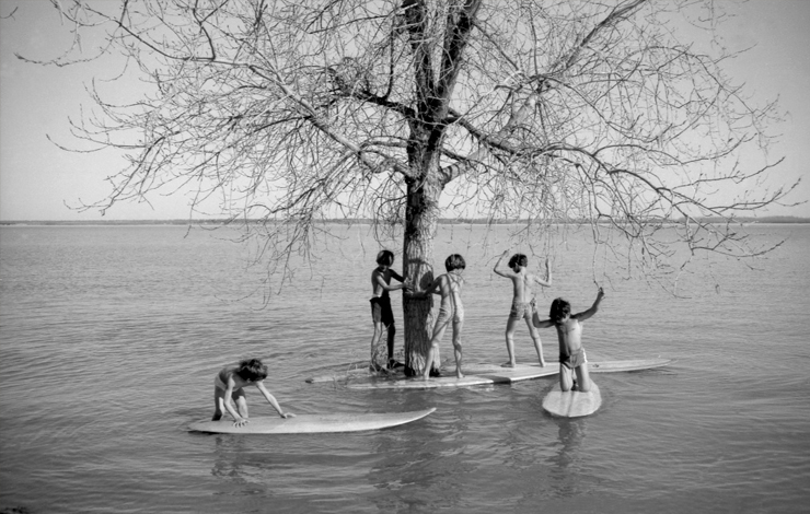 A group of children are playing on surf boards on a lake next to a tree