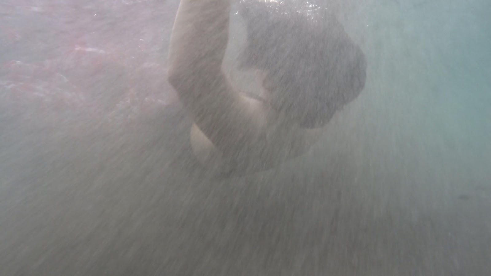 Still from 'Heiress of the Wind'.