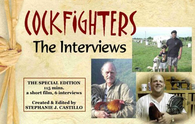 Packaging for Stephanie Castillo's DVD package 'Cockfighters: The Interviews.' Courtesy of Stephanie Castillo.