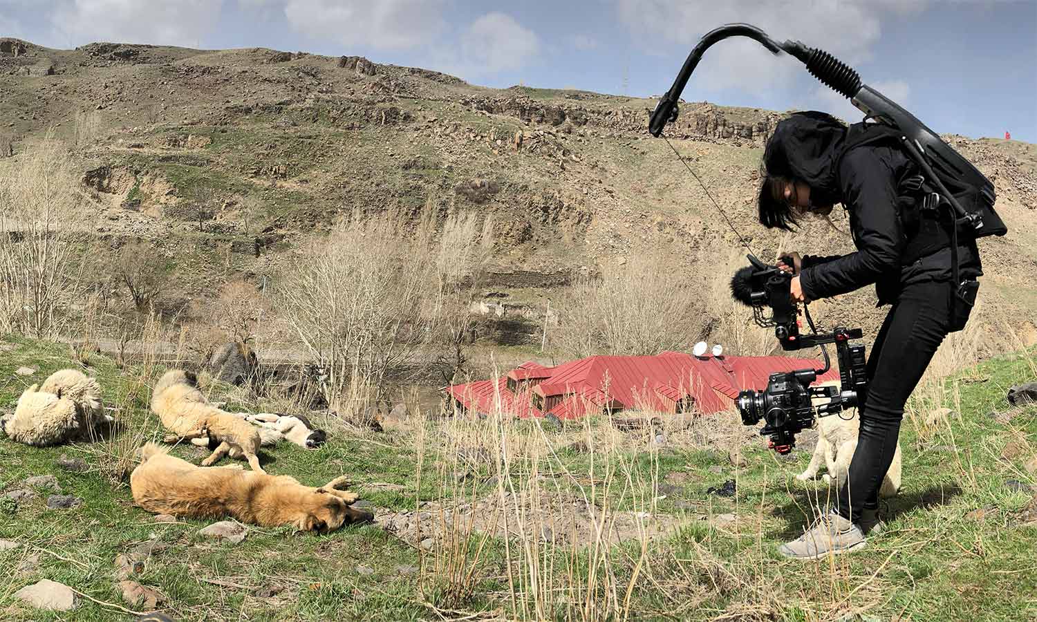 Elizabeth Lo with her camera rig shooting 'Stray'. Courtesy of Elizabeth Lo