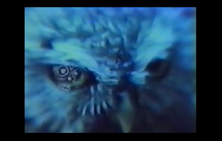 A closeup of an owl's face from 'The Owl's Legacy.'