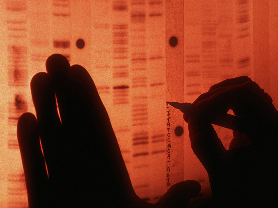  A scientist labels each protein in the radio nucleotide sequence of human genes to create a unique DNA profile. From 'Cancer: The Emperor of All Maladies', which premieres March 30 on PBS. Courtesy of Dan McCoy—Rainbow/Science Faction/Corbis