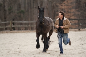 A man runs with a brown horse, holding it at the reins. They are outdoors and you can see the woods in the background