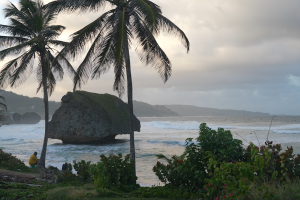 Film still from 'The First Plantation'