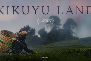 Official film poster; female tea field worker picking tea