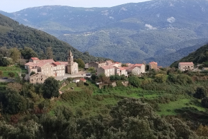 A small stone village with terracotta tile roofs and a tall bell tower clusters on a hillside, surrounded by dense green forest. Layered mountain ridges rise in the background under a pale sky, with a few clouds caught against the slopes. Patches of cultivated grass and low stone walls separate the village from the surrounding woodland. Dark green shrubs and trees fill the foreground.