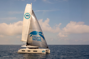 A white sailing catamaran with the Escape to Nature logo moves across the open sea beneath large clouds in warm evening light. The boat is shown from the side with its sails raised. I confirm that I have the rights to all content submitted.