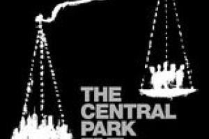 Film poster for 'The Central Park Five' documentary.