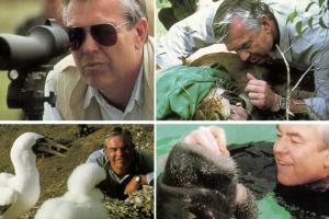 Four photos of Bill Kurtis interacting with animals and the camera.