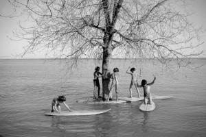 A group of children are playing on surf boards on a lake next to a tree