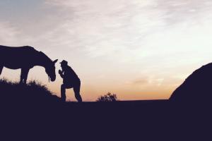a man leans over to his horse, both silhouetted in the fading sunset.