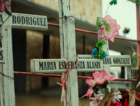 Cemetery crosses (white, each bearing a different name) are adorned with plastic flowers.