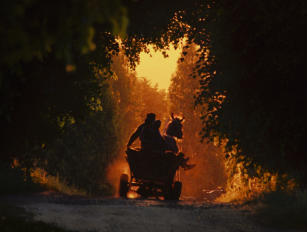 A silhouette of a horse-drawn carriage against the dusk light in a forest
