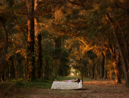A woman lays on a bed that stands alone in the middle of a dusk-lit forest