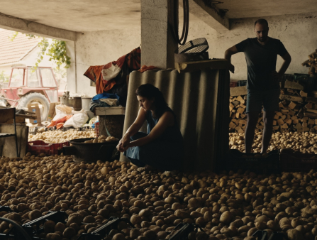 Three farmers stand amid an entire room full of plucked potatoes