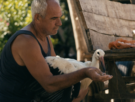 An older man in a tank top feeds a stork from his hand