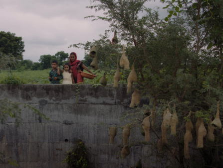 A woman and two children look over a stone wall.