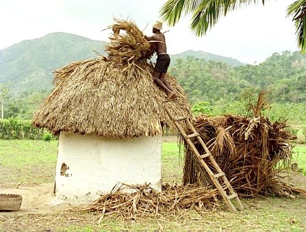 A Black man stands atop a ladder adding hay to a hay-thatched roof in the middle of a lush, mountainous landscape