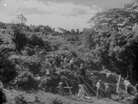 Black and white image of men and women seen bringing building materials down a jungled hill 