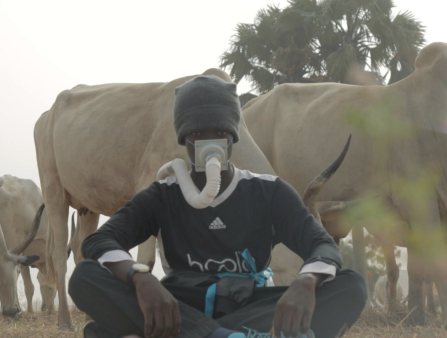A young Black boy is sitting cross-legged in casual Adidas-branded wear and a knitted hat, donning a respiratory mask, with cattle right behind him