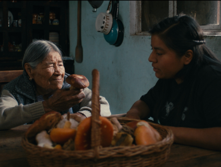 An elder Indigenous woman with long grey hair parted and pulled back holds a mushroom while sitting at a table with a younger Indigenous woman with dark black hair, a basket full of mushrooms in front of them both.