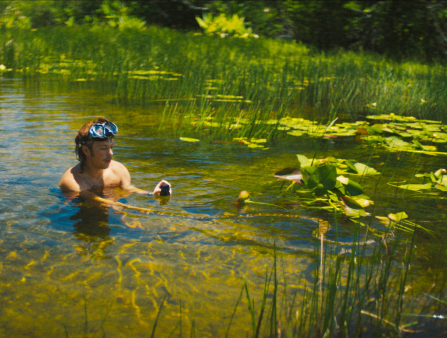 Young white man half submerged in a swamp catching hold of a python underwater