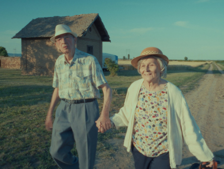 An aging man and woman are gleefully strolling down a field on a cloudless sunny day