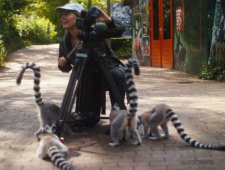 White woman in casual clothing holding a camera with a tripod surrounded by lemurs who are climbing all over her