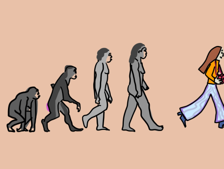Illustration of famed Darwinian evolution process showing a primate slowly becoming a woman with a camera