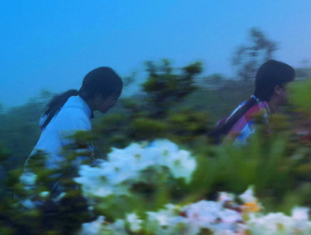 Wildly saturated photo of two young girls with long black hair walking in a meadow filled with flowers