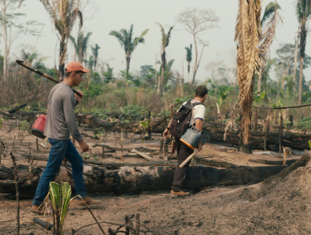 Two men in workwear carrying tools for tree work walk through a field of burnt stumps and logs, with sparse tree cover in the background
