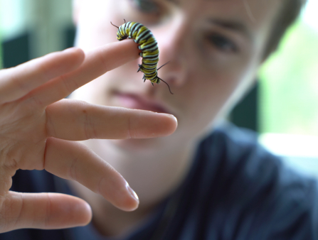 Close-up of a young white man's hand as he holds up a caterpillar; his face is blurred in the background