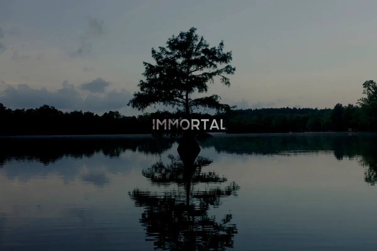 A swamp at dusk surrounded by trees and in the center of the swamp is a tree standing in the middle of the water. The tree's reflection in the water is directly beneath the tree in the middle of the frame. Centered in the image is the word IMMORTAL.