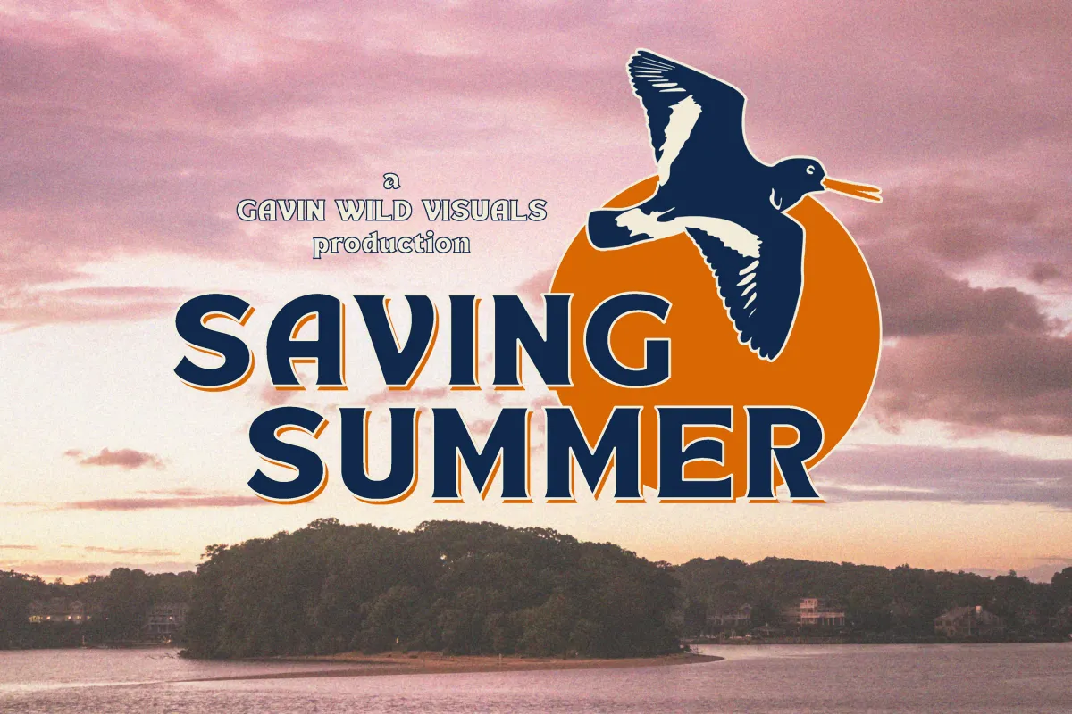 A sunset over an island covered in trees. The title Saving Summer in the foreground, in front of a drawing of the sun and a bird.