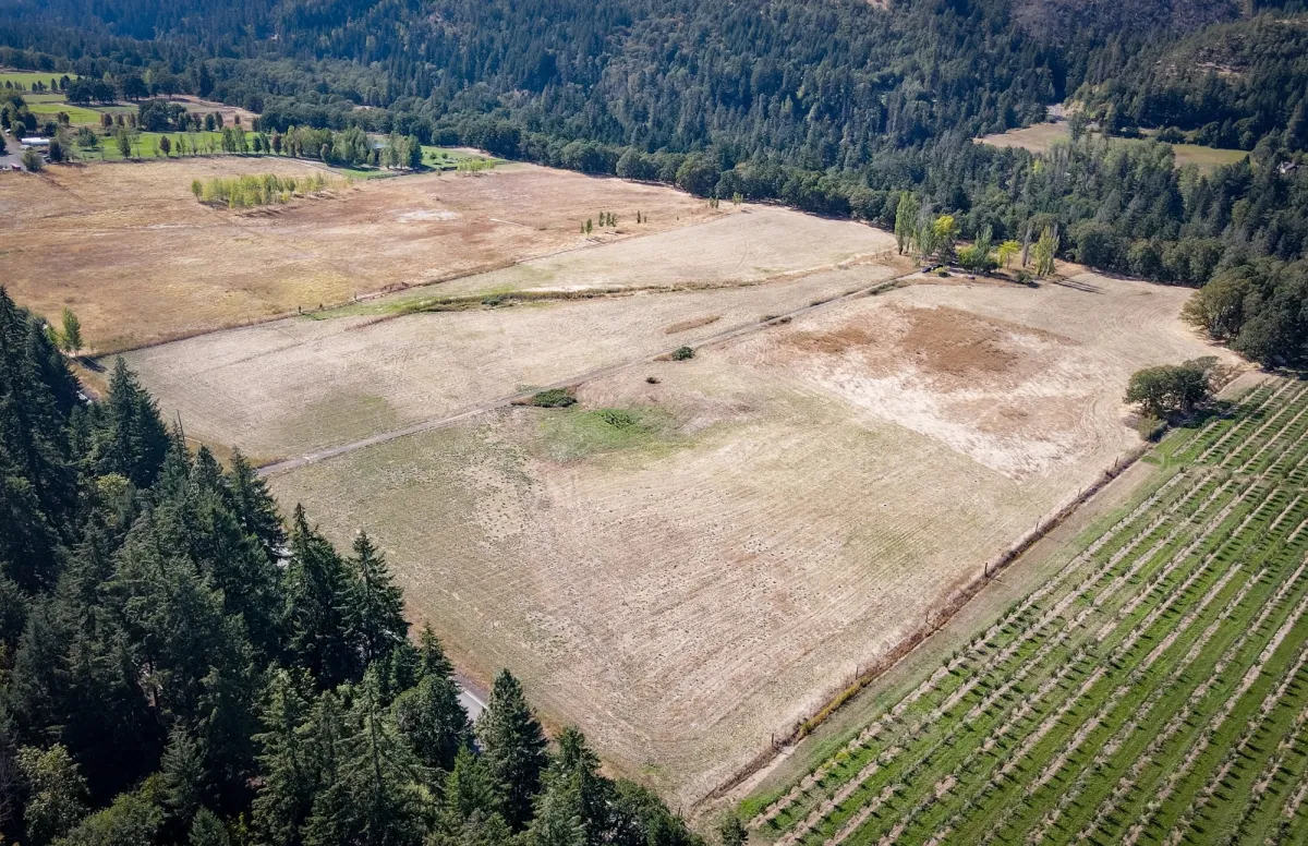 Aerial view of a 20 acre flower farm