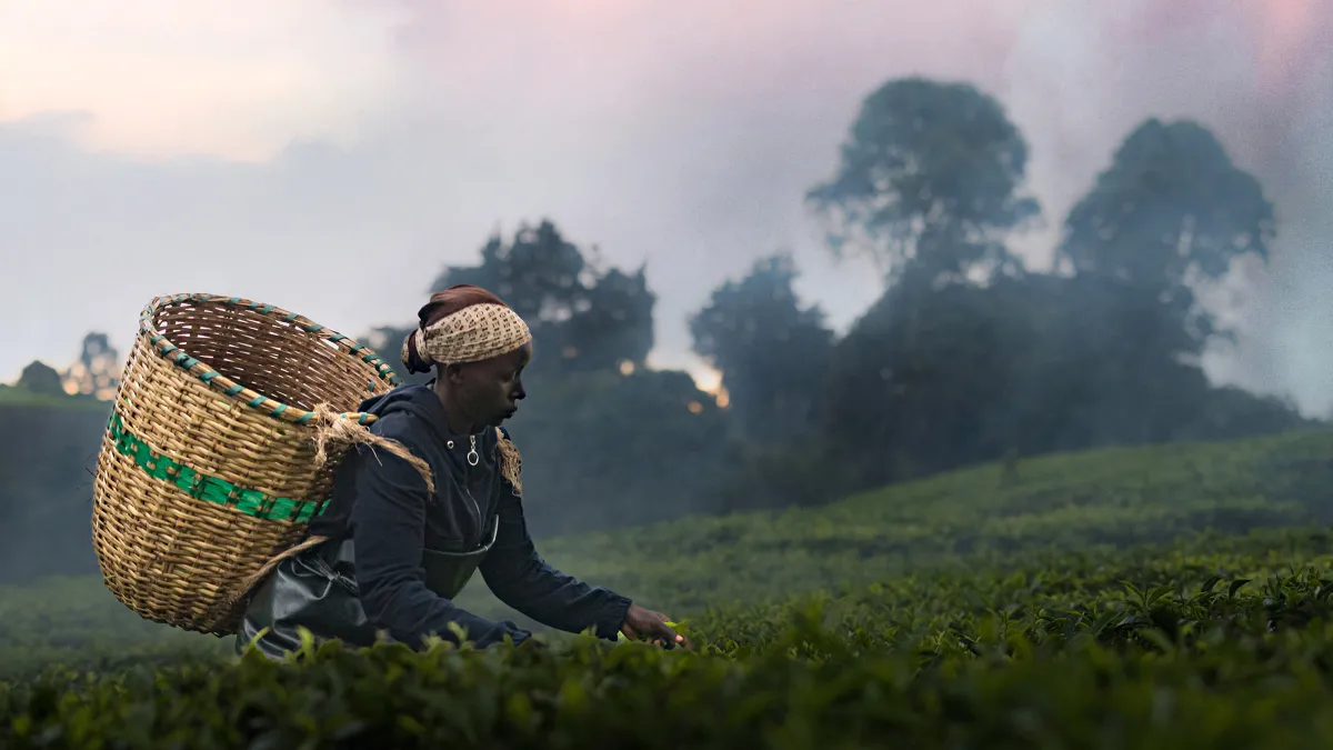 A Black woman with a basket on her back farms in a field with a cloudy landscape behind her