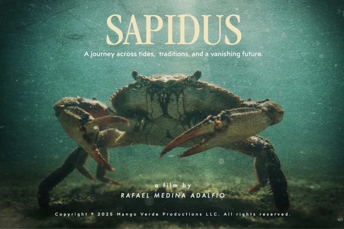 The image shows an underwater scene in green-blue tones. At the center, a large blue crab is seen from the front, standing on the seabed with its claws raised and legs spread. Particles float in the water, creating a textured, atmospheric look. Soft light filters from above, illuminating the crab and the surrounding water.  At the top of the image, the film title SAPIDUS appears in large serif letters, followed by the tagline “A journey across tides, traditions, and a vanishing future.”