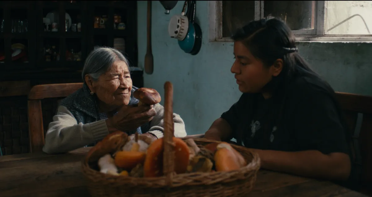 Fungal Cinema: Otilia Portillo Padua on Profiling Two Indigenous Mycologists in her SXSW And CPH:DOX Doc ‘Daughters of the Forest’
