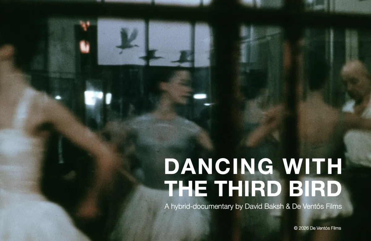 We see ballet dancers through a window dancing. The window also reflects birds in the sky.