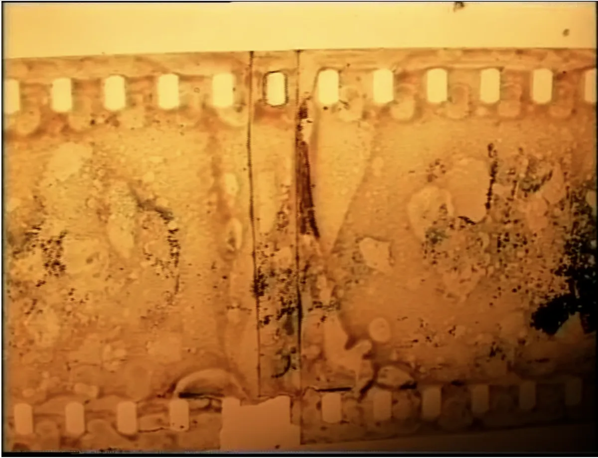 Orange image of a blackened strip of celluloid running parallel to the frame