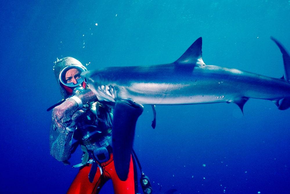 Doc Star of the Month: Valerie Taylor, 'Playing with Sharks'